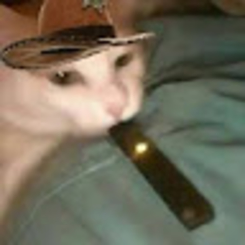 Meet your Posher, Kobe